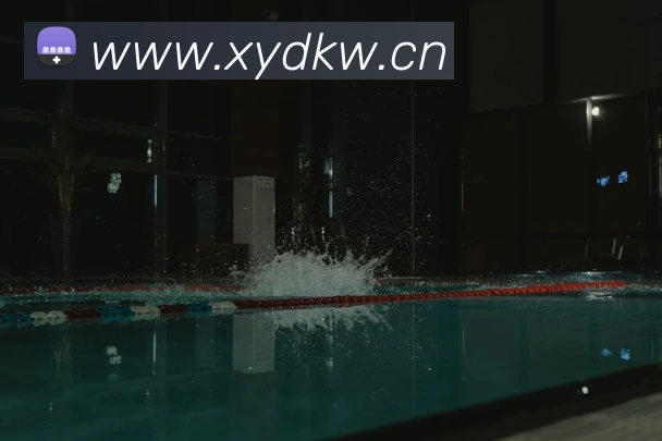 多媒体互动体验